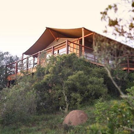 Addo Elephant Lodge & Safaris Kirkwood Экстерьер фото