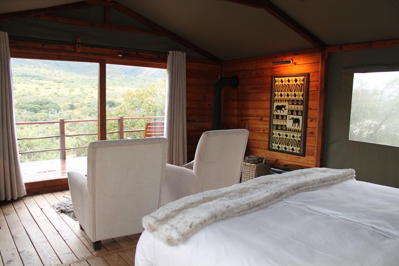 Addo Elephant Lodge & Safaris Kirkwood Экстерьер фото