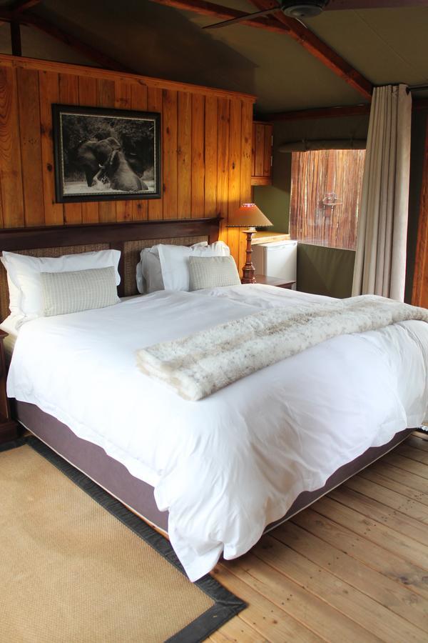 Addo Elephant Lodge & Safaris Kirkwood Номер фото