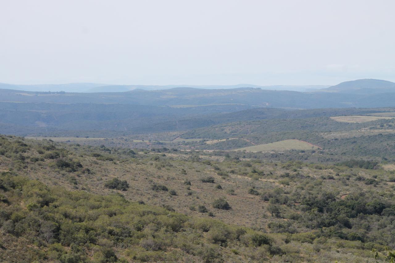 Addo Elephant Lodge & Safaris Kirkwood Экстерьер фото