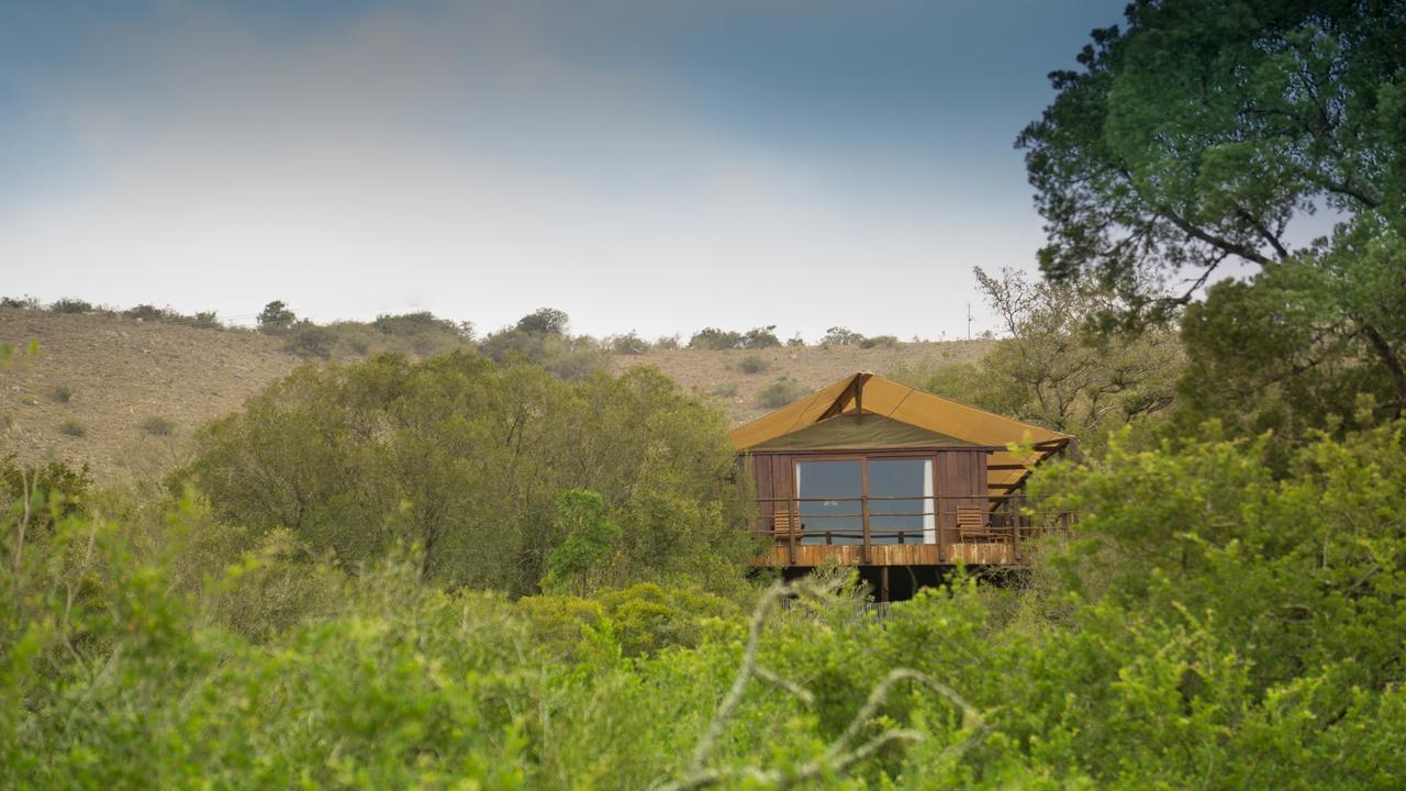 Addo Elephant Lodge & Safaris Kirkwood Экстерьер фото