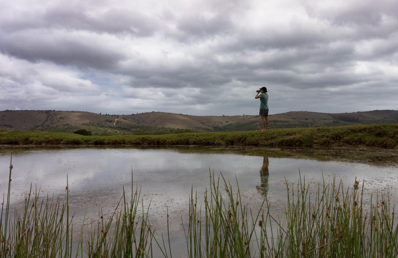 Addo Elephant Lodge & Safaris Kirkwood Экстерьер фото