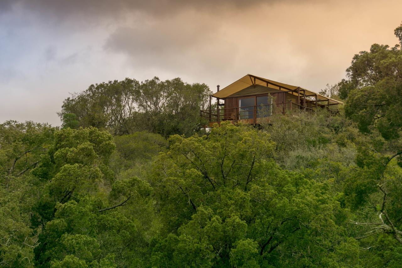 Addo Elephant Lodge & Safaris Kirkwood Экстерьер фото