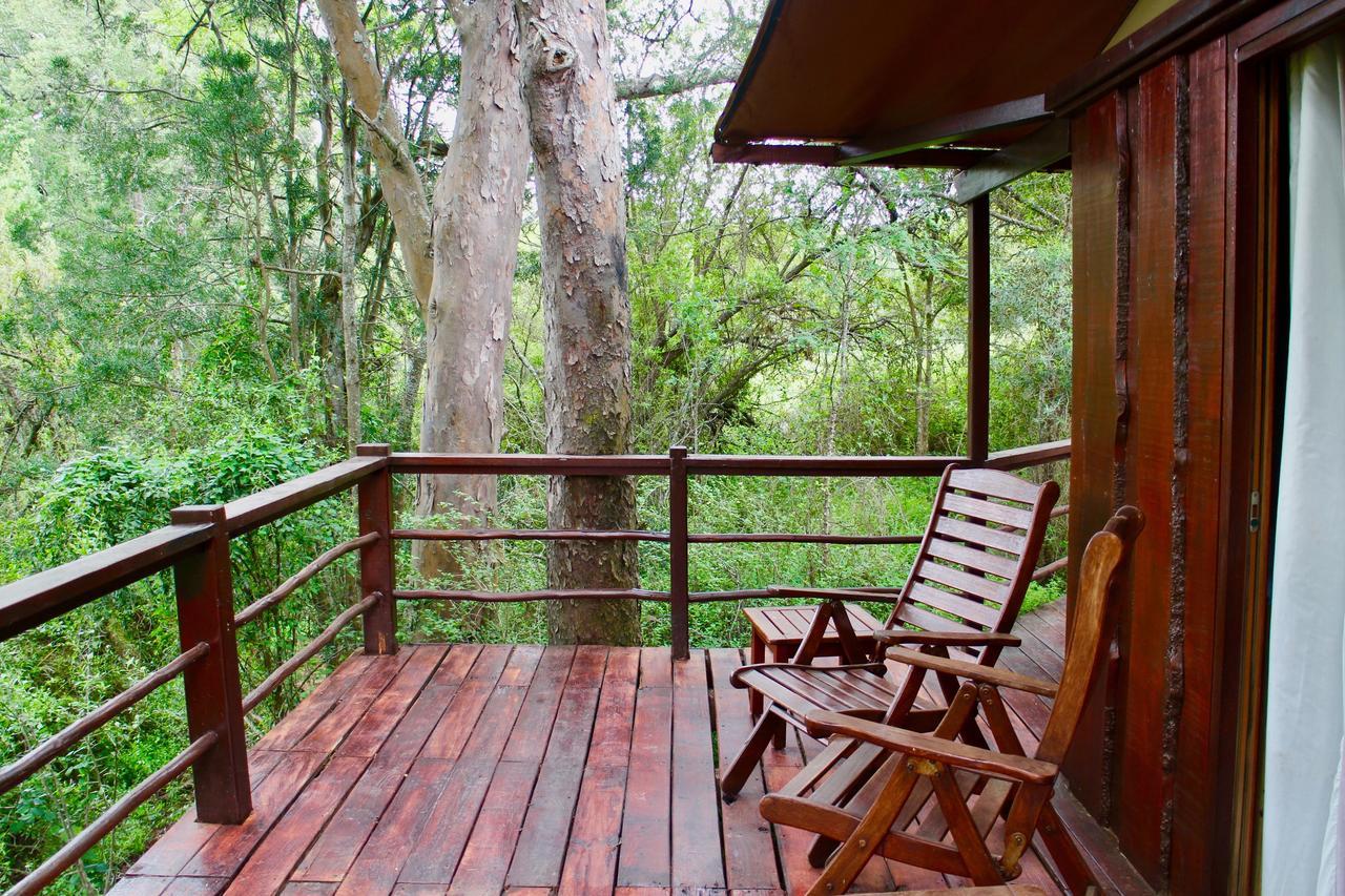 Addo Elephant Lodge & Safaris Kirkwood Экстерьер фото