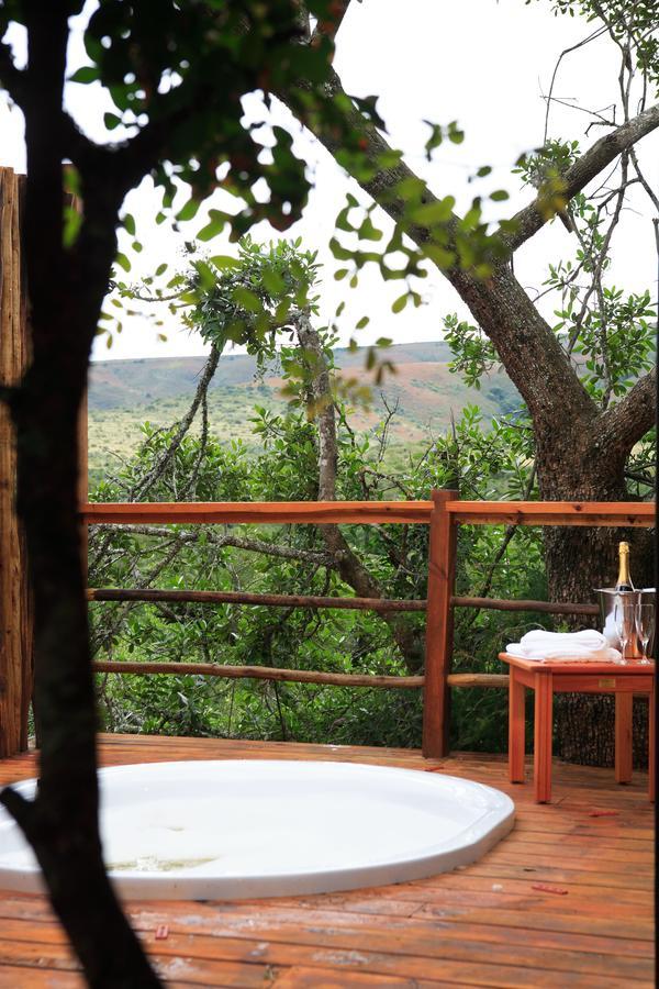 Addo Elephant Lodge & Safaris Kirkwood Экстерьер фото